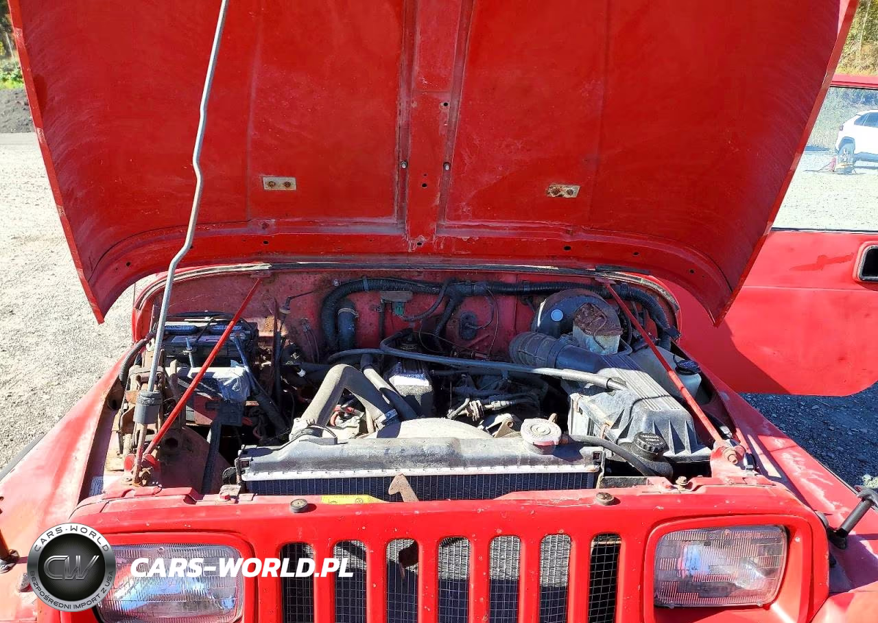 1991 Jeep Wrangler VIN:2J4FY19P8MJ121131 - 11