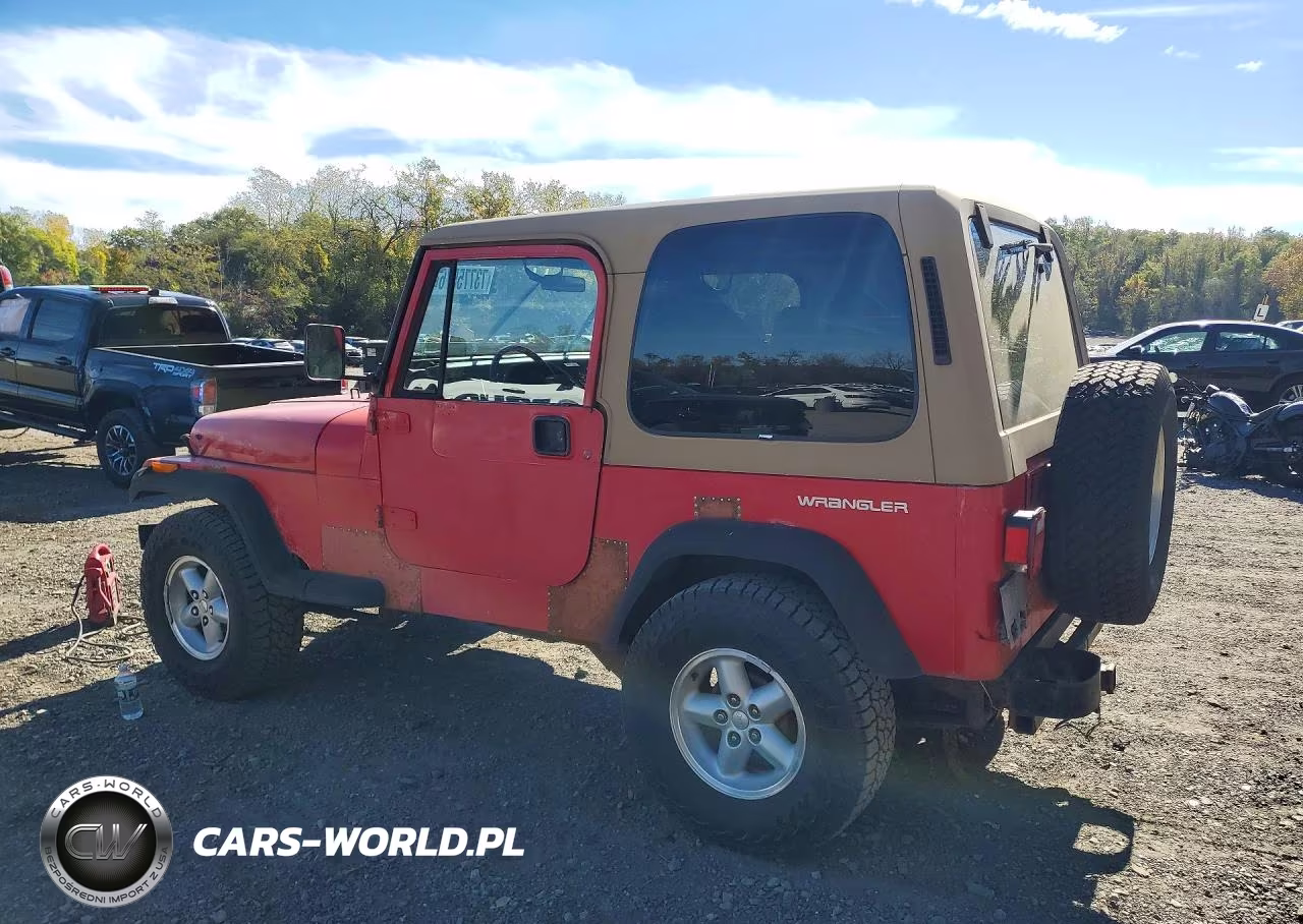1991 Jeep Wrangler VIN:2J4FY19P8MJ121131 - 2