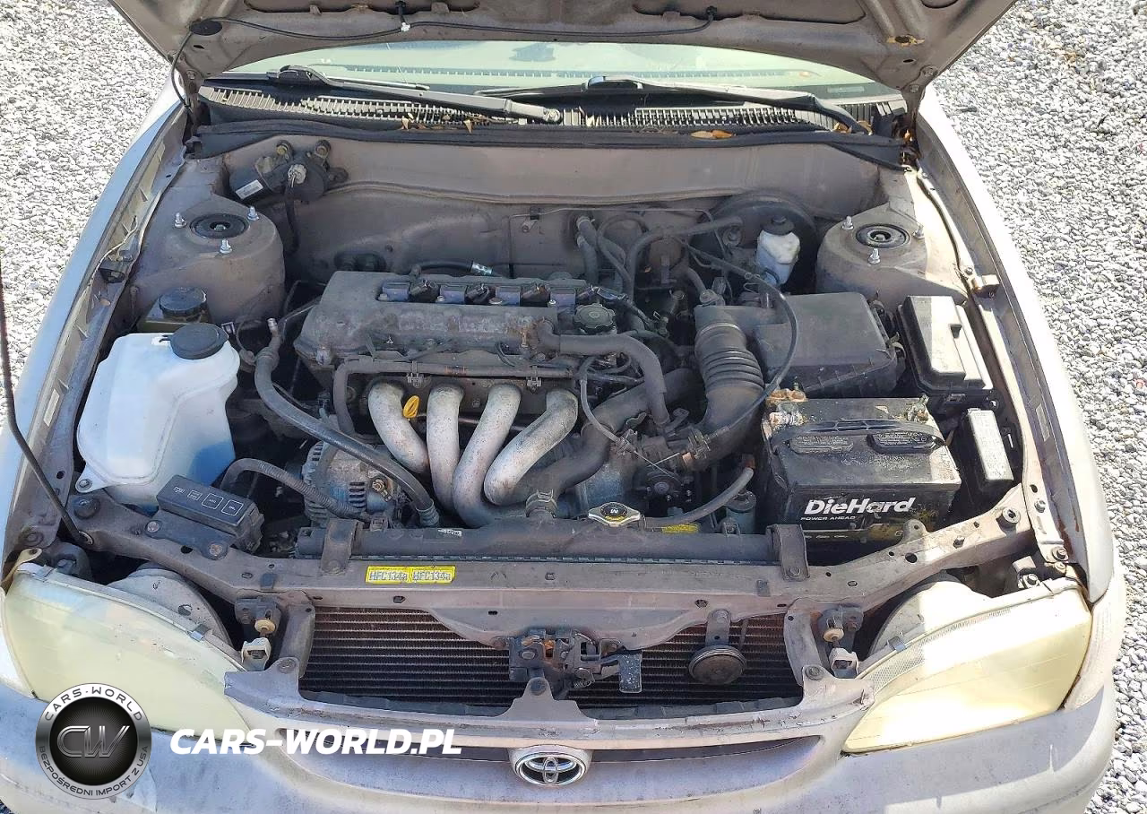 2000 Toyota Corolla Ve VIN:1NXBR12E2YZ376843 - 11