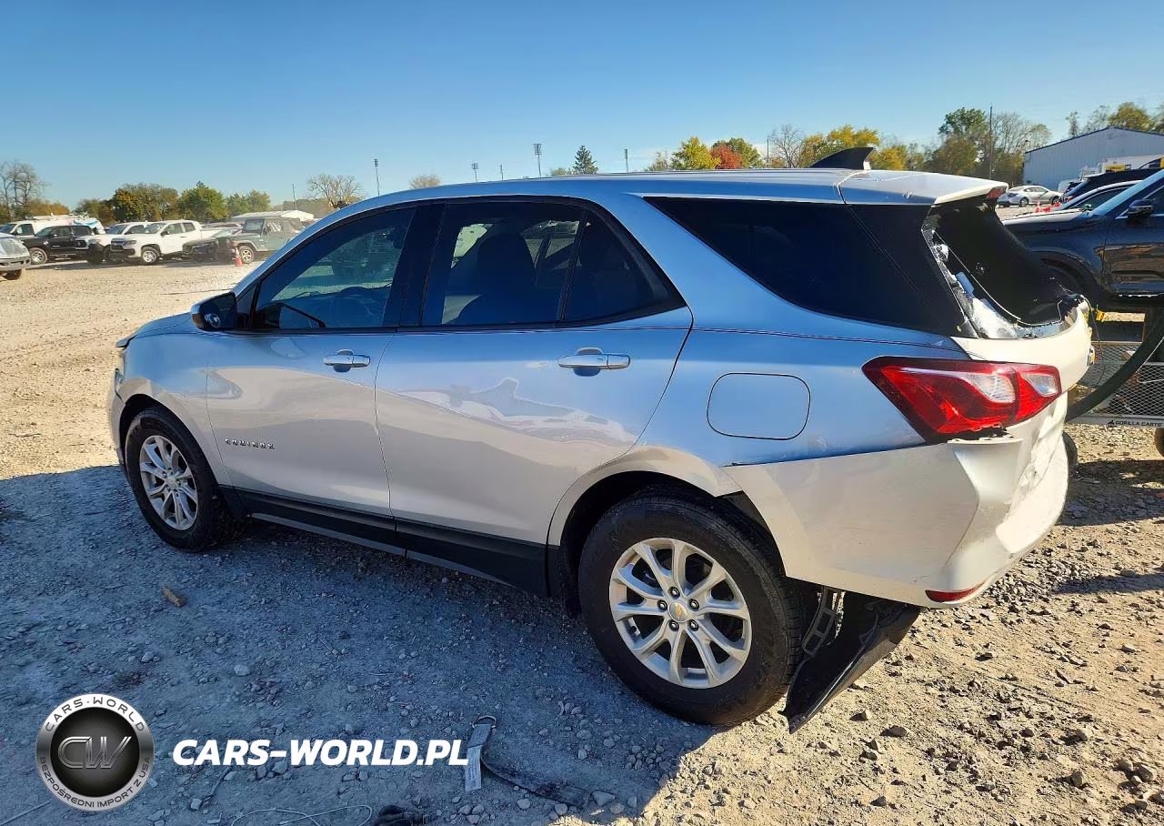 2019 Chevrolet Equinox Ls VIN:2GNAXSEV9K6213255 - 2