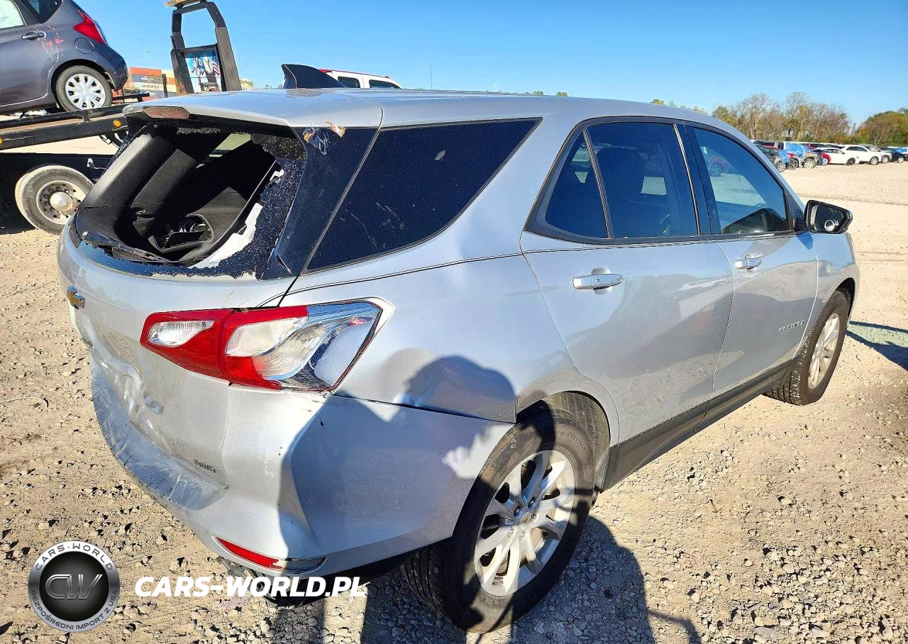 2019 Chevrolet Equinox Ls VIN:2GNAXSEV9K6213255 - 3