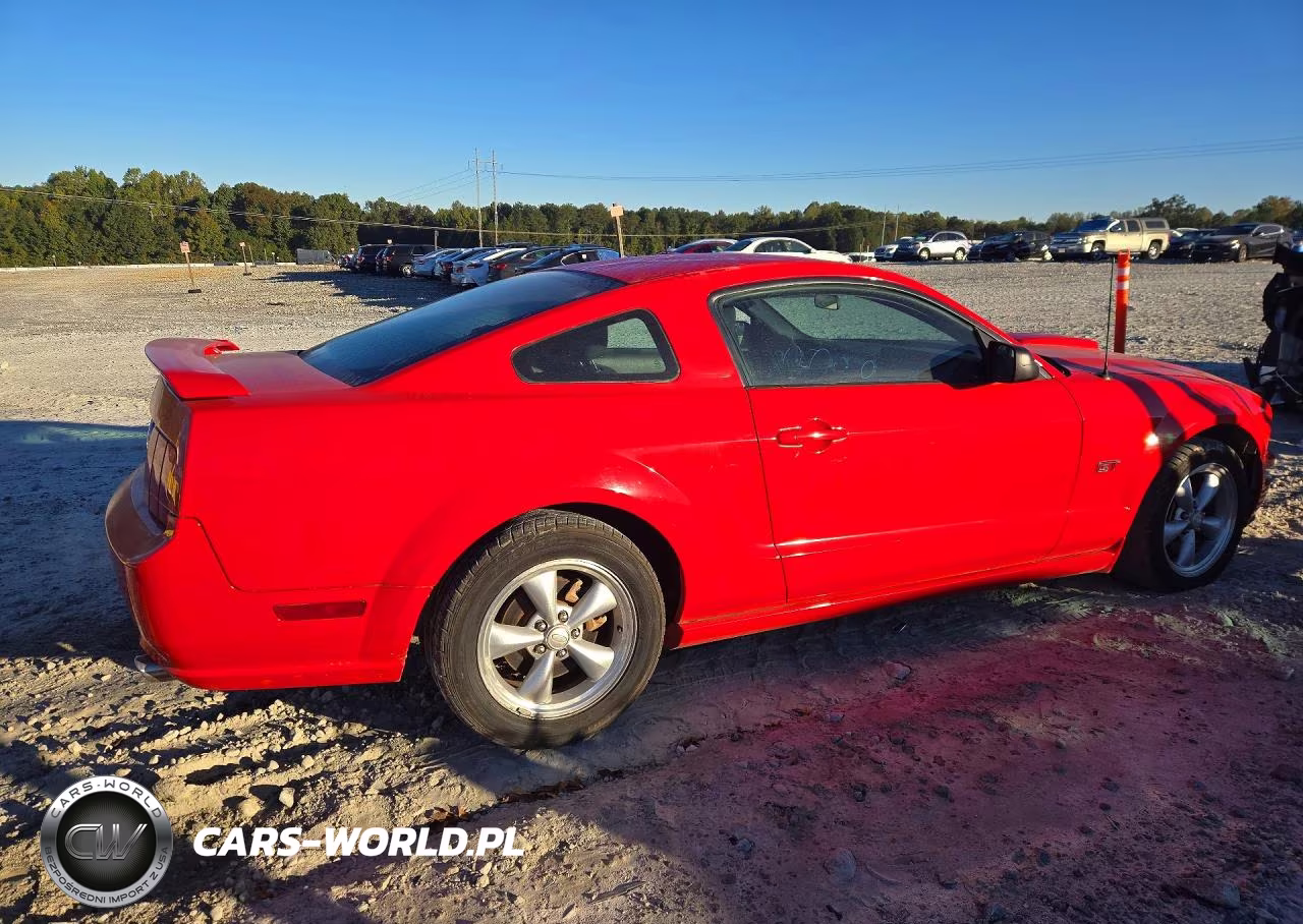 2008 Ford Mustang Gt VIN:1ZVHT82H485143797 - 3