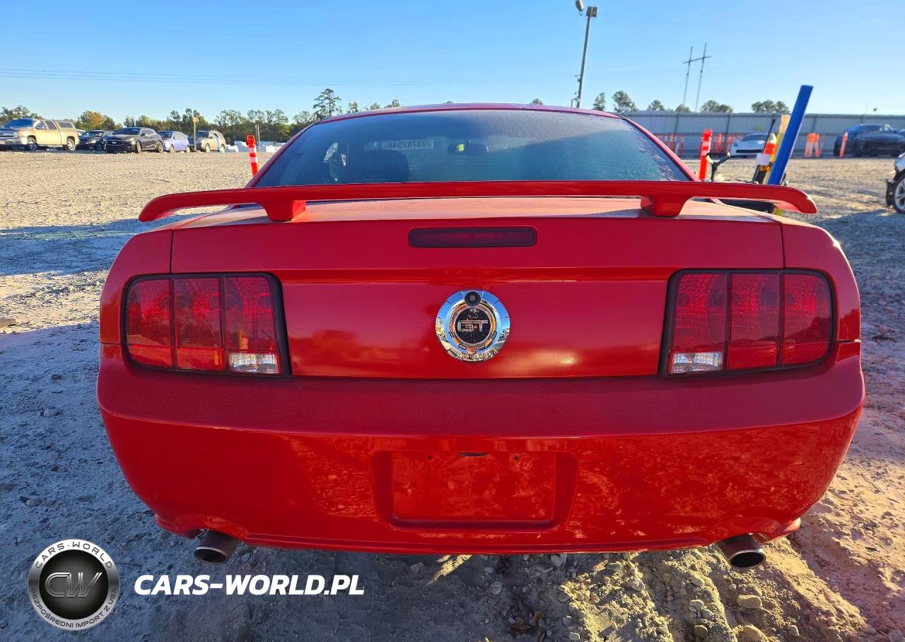 2008 Ford Mustang Gt VIN:1ZVHT82H485143797 - 6