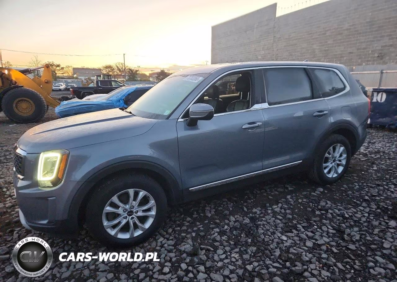 2020 Kia Telluride Lx VIN:5XYP2DHC4LG076351 - 1