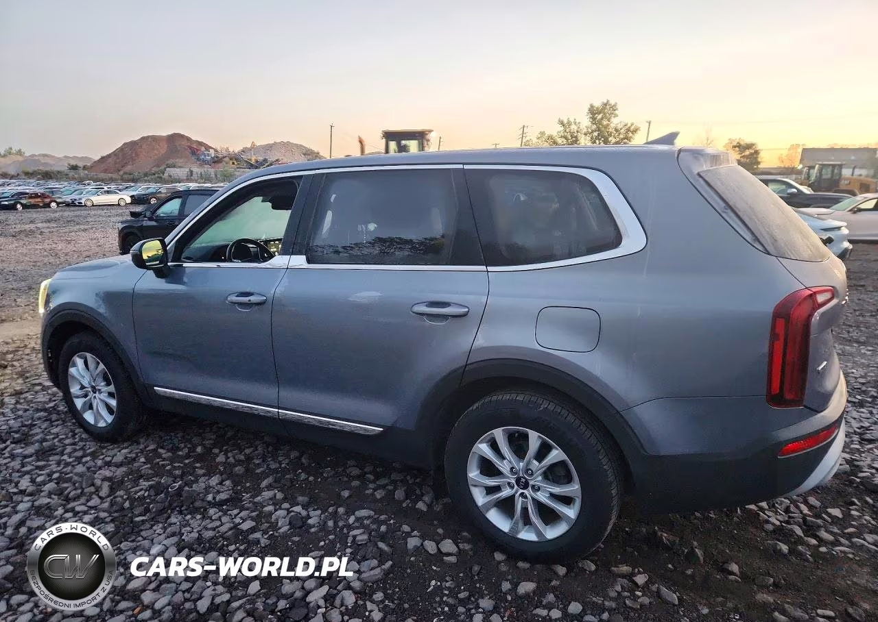 2020 Kia Telluride Lx VIN:5XYP2DHC4LG076351 - 2