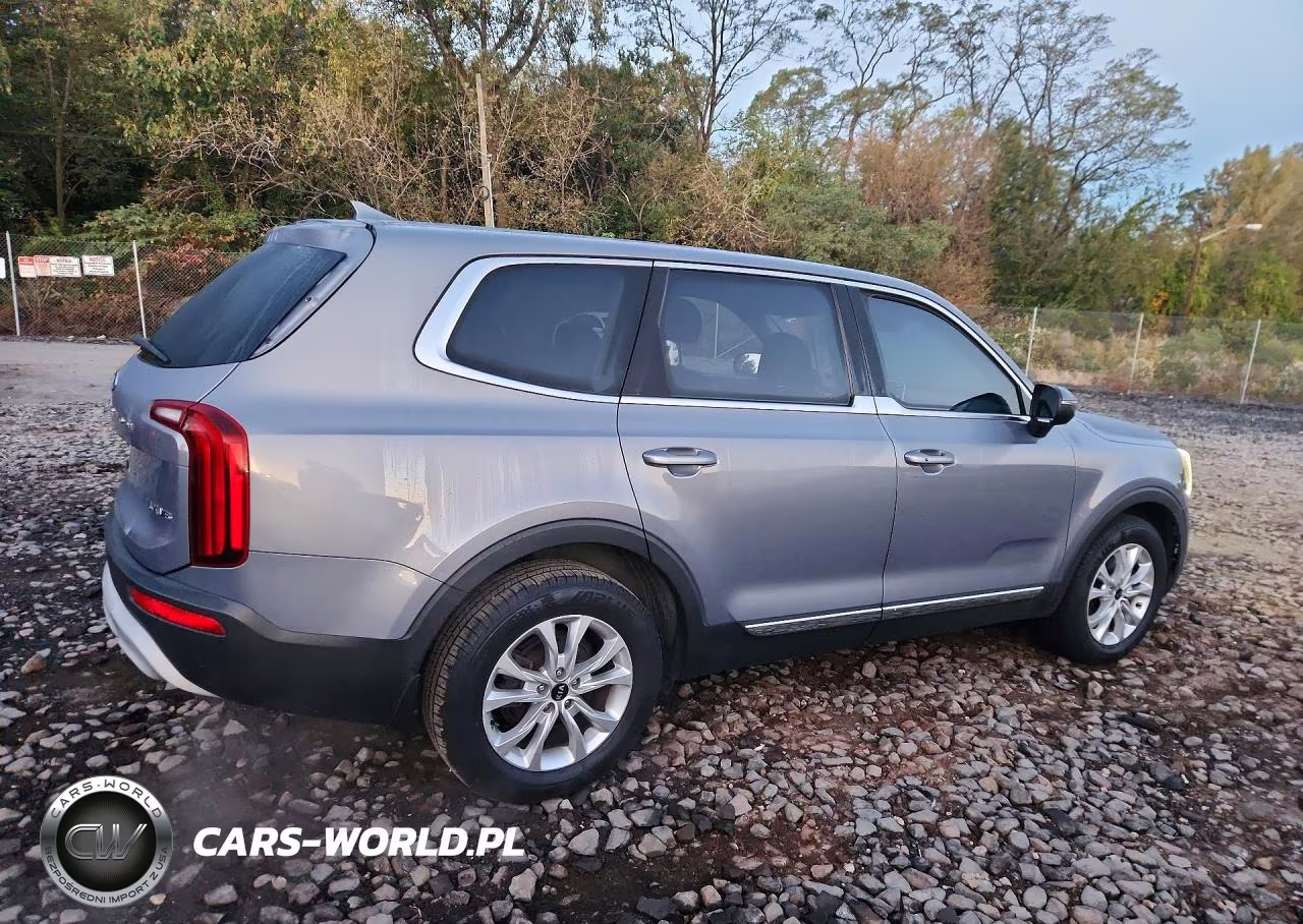 2020 Kia Telluride Lx VIN:5XYP2DHC4LG076351 - 3