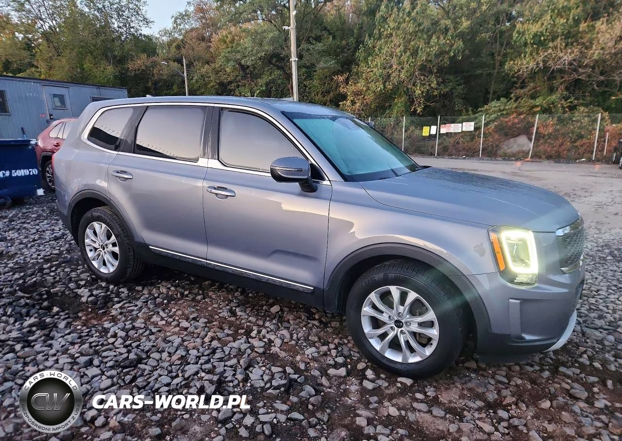 2020 Kia Telluride Lx VIN:5XYP2DHC4LG076351 - 4