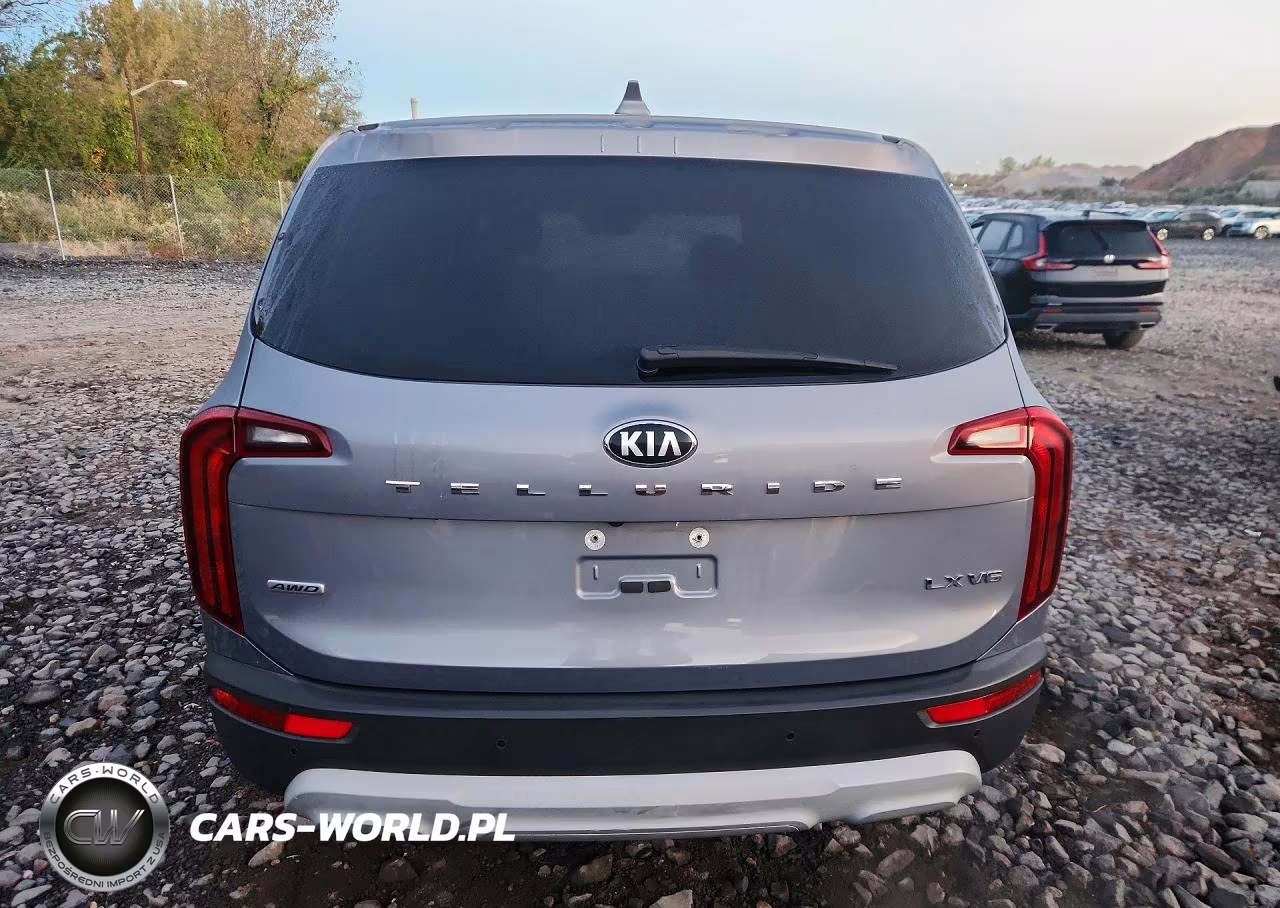 2020 Kia Telluride Lx VIN:5XYP2DHC4LG076351 - 6