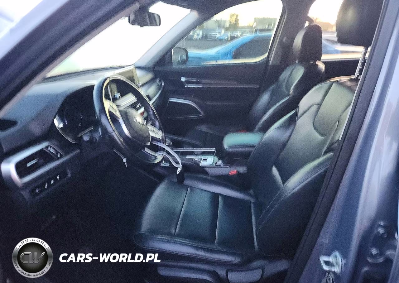 2020 Kia Telluride Lx VIN:5XYP2DHC4LG076351 - 7