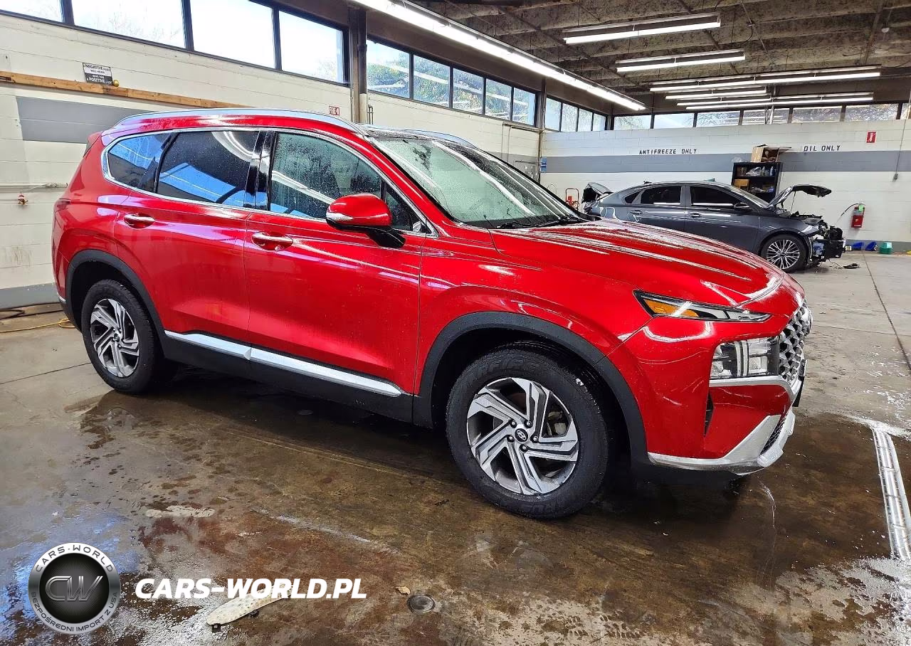 2023 Hyundai Santa Fe Sel Premium VIN:5NMS34AJ8PH565850 - 4