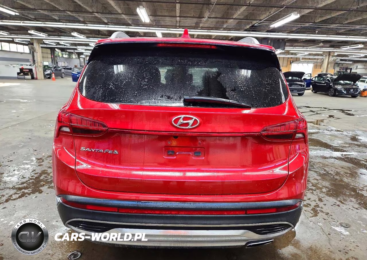 2023 Hyundai Santa Fe Sel Premium VIN:5NMS34AJ8PH565850 - 6