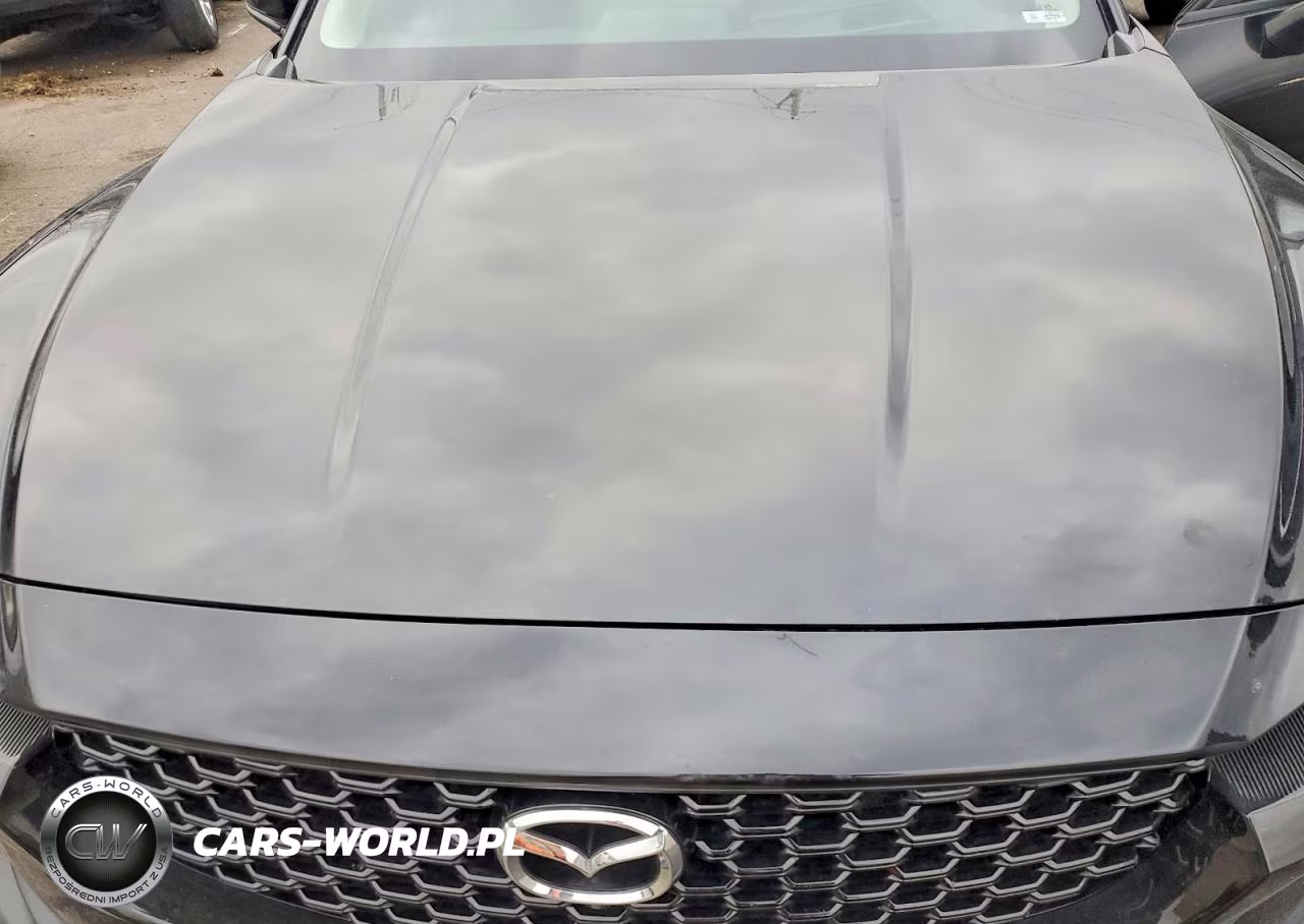 2023 Mazda Cx-50 Premium Plus VIN:7MMVABEYXPN137134 - 12