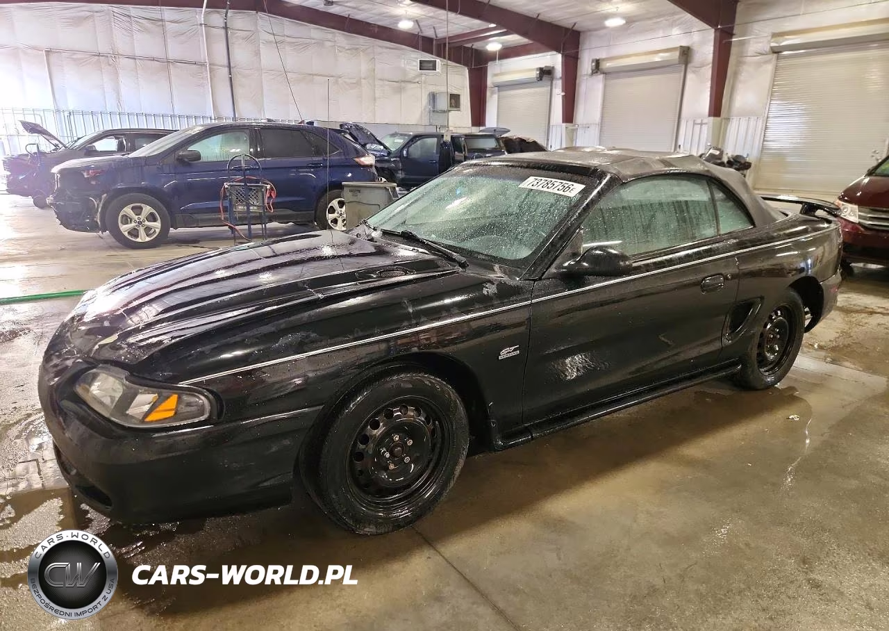 1998 Ford Mustang VIN:1FAFP4446WF248226 - 1