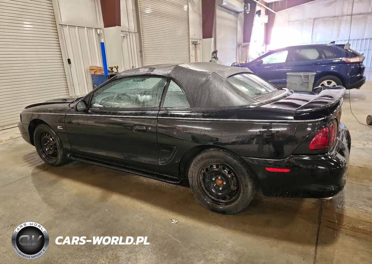 1998 Ford Mustang VIN:1FAFP4446WF248226 - 2