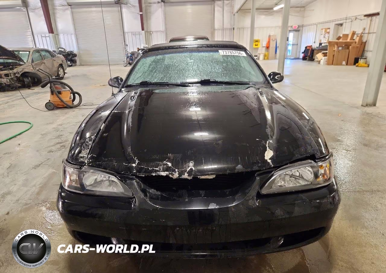 1998 Ford Mustang VIN:1FAFP4446WF248226 - 5