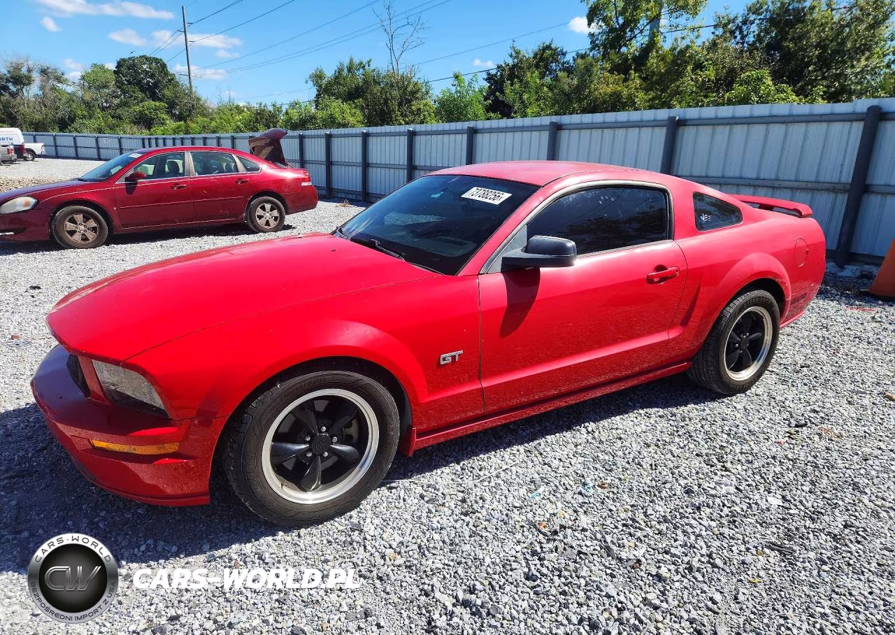 2006 Ford Mustang Gt VIN:1ZVHT82H865239784 - 1