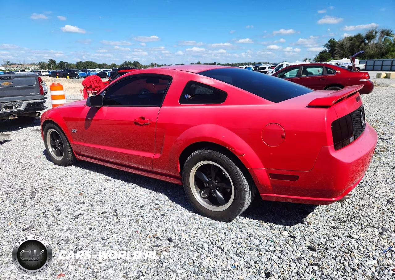 2006 Ford Mustang Gt VIN:1ZVHT82H865239784 - 2