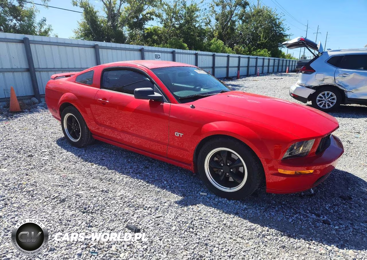 2006 Ford Mustang Gt VIN:1ZVHT82H865239784 - 4