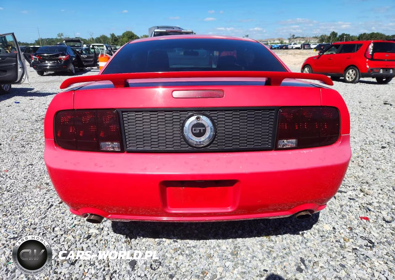 2006 Ford Mustang Gt VIN:1ZVHT82H865239784 - 6