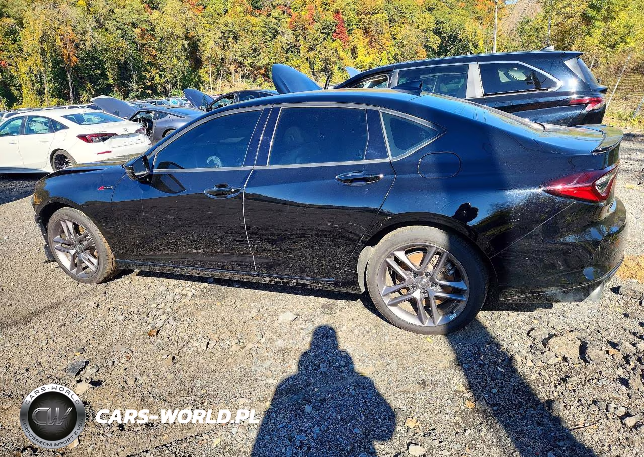 2025 Acura Tlx A-Spec VIN:19UUB6F53SA002454 - 2