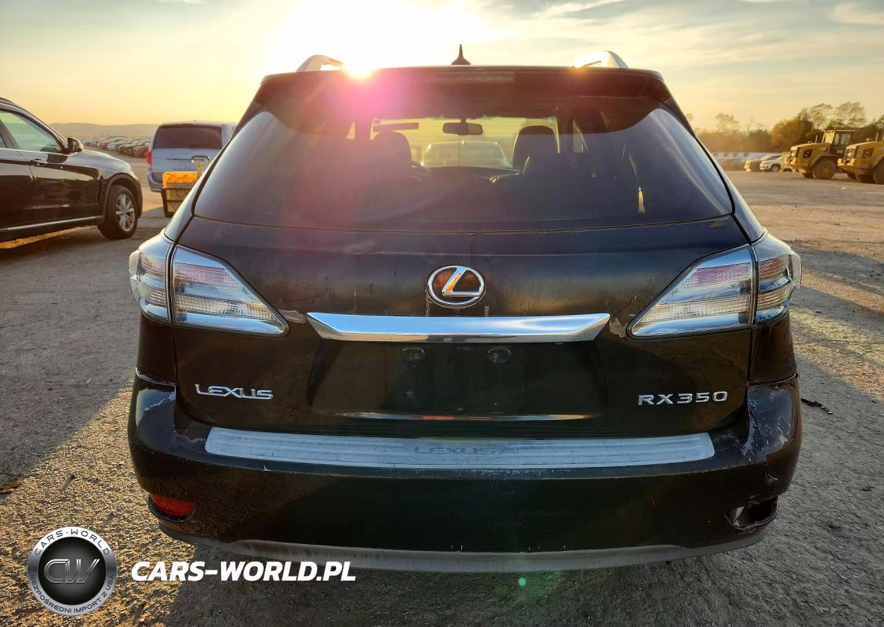 2010 Lexus Rx 350 VIN:2T2BK1BA2AC031669 - 6