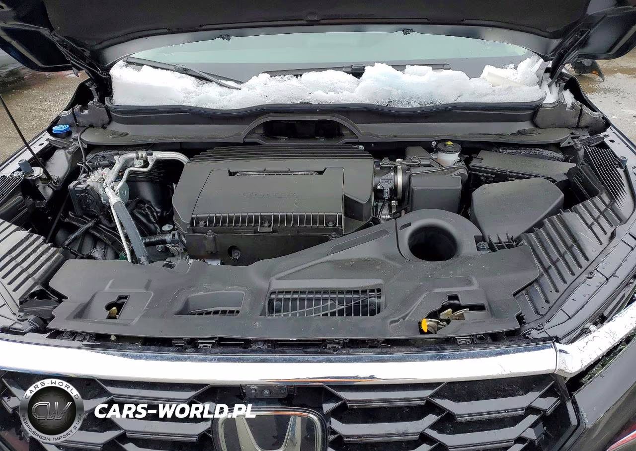 2025 Honda Pilot Elite VIN:5FNYG1H84SB129667 - 12
