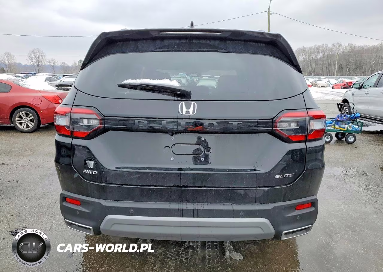 2025 Honda Pilot Elite VIN:5FNYG1H84SB129667 - 6