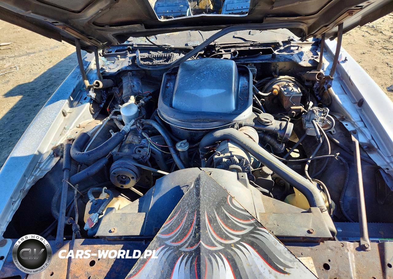 1979 Pontiac Firebird VIN:2X87K9N155795 - 11