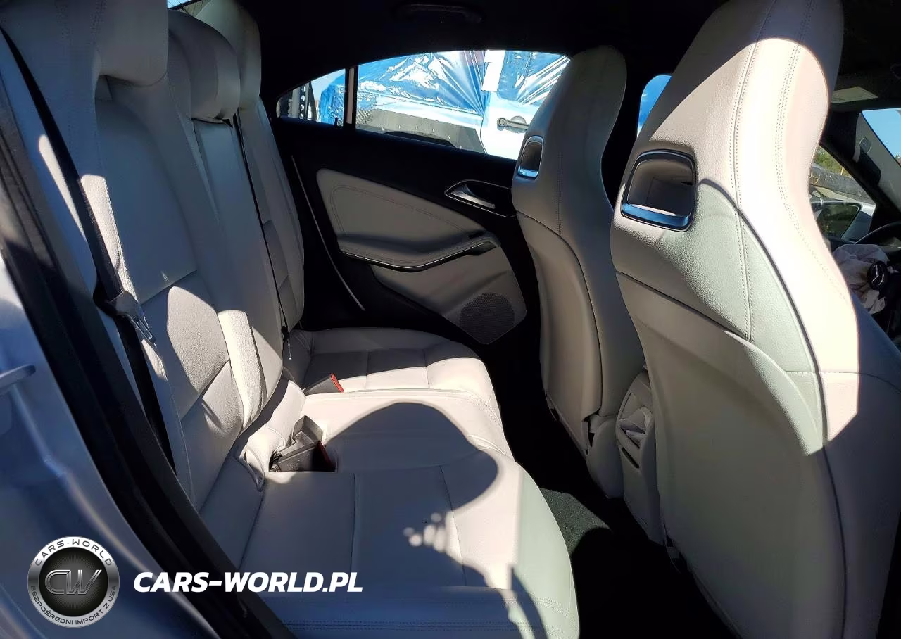 2014 Mercedes-Benz Cla 250 VIN:WDDSJ4EB1EN131672 - 10