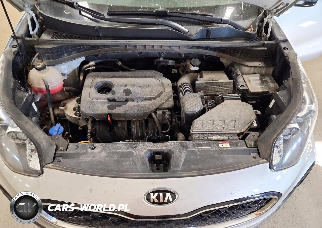 2022 Kia Sportage Lx VIN:KNDPMCAC5N7955078 - 12