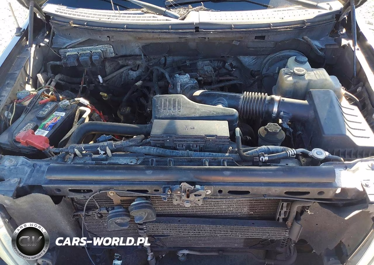 2009 Ford F150 Super Cab VIN:1FTRX12W49FA50792 - 11