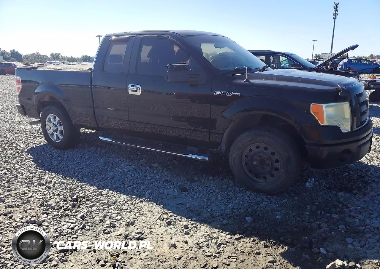 2009 Ford F150 Super Cab VIN:1FTRX12W49FA50792 - 4