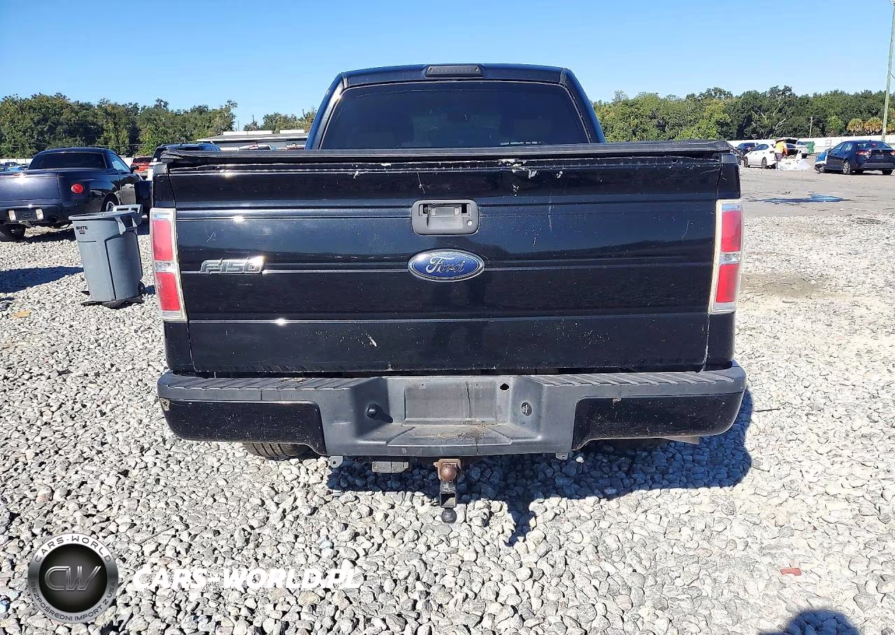 2009 Ford F150 Super Cab VIN:1FTRX12W49FA50792 - 6