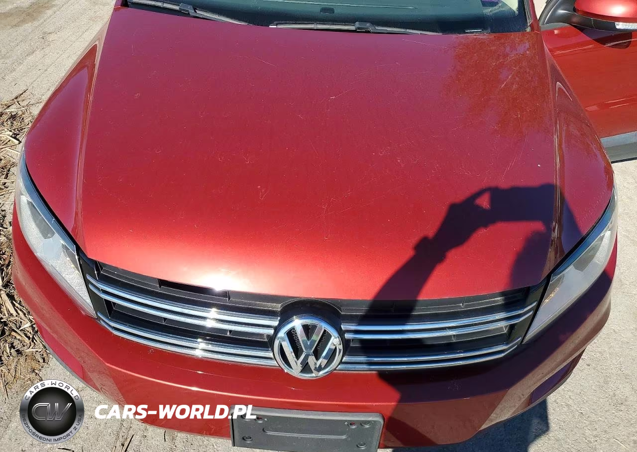 2016 Volkswagen Tiguan S VIN:WVGBV7AX5GW033951 - 12