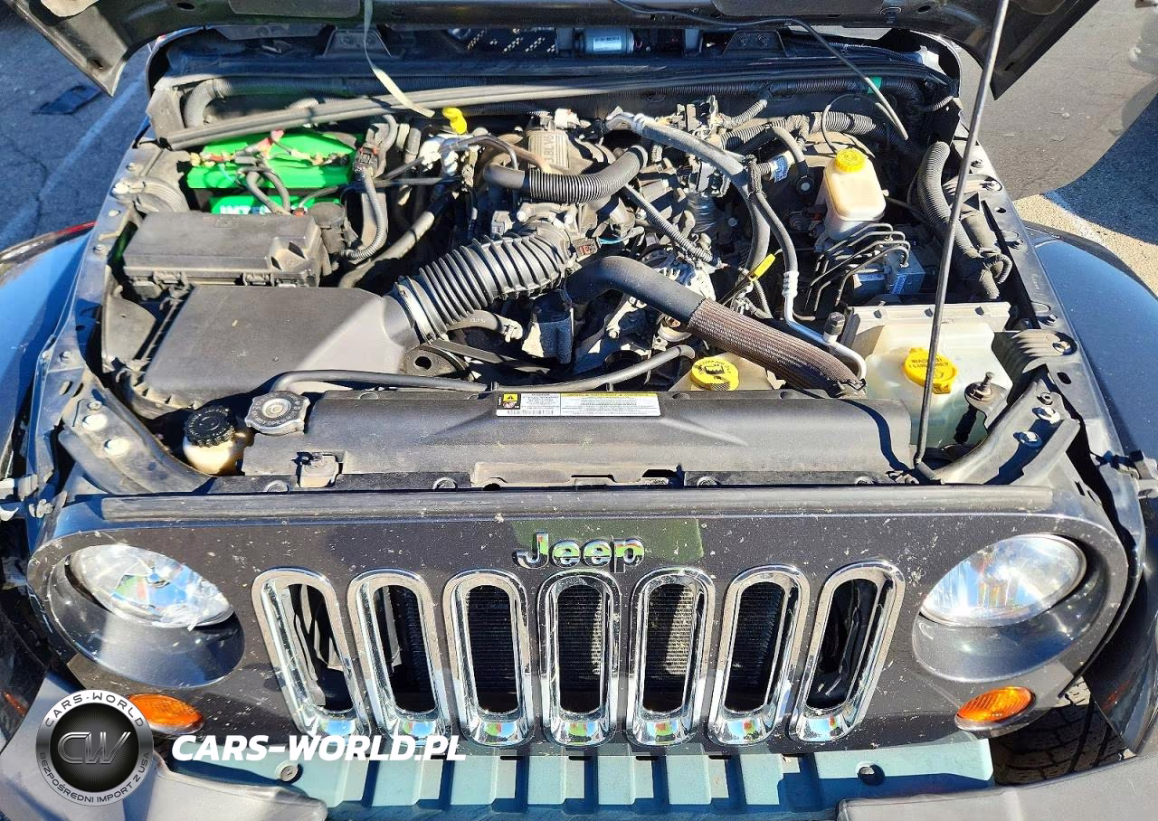 2010 Jeep Wrangler Sahara VIN:1J4AA5D16AL125354 - 11