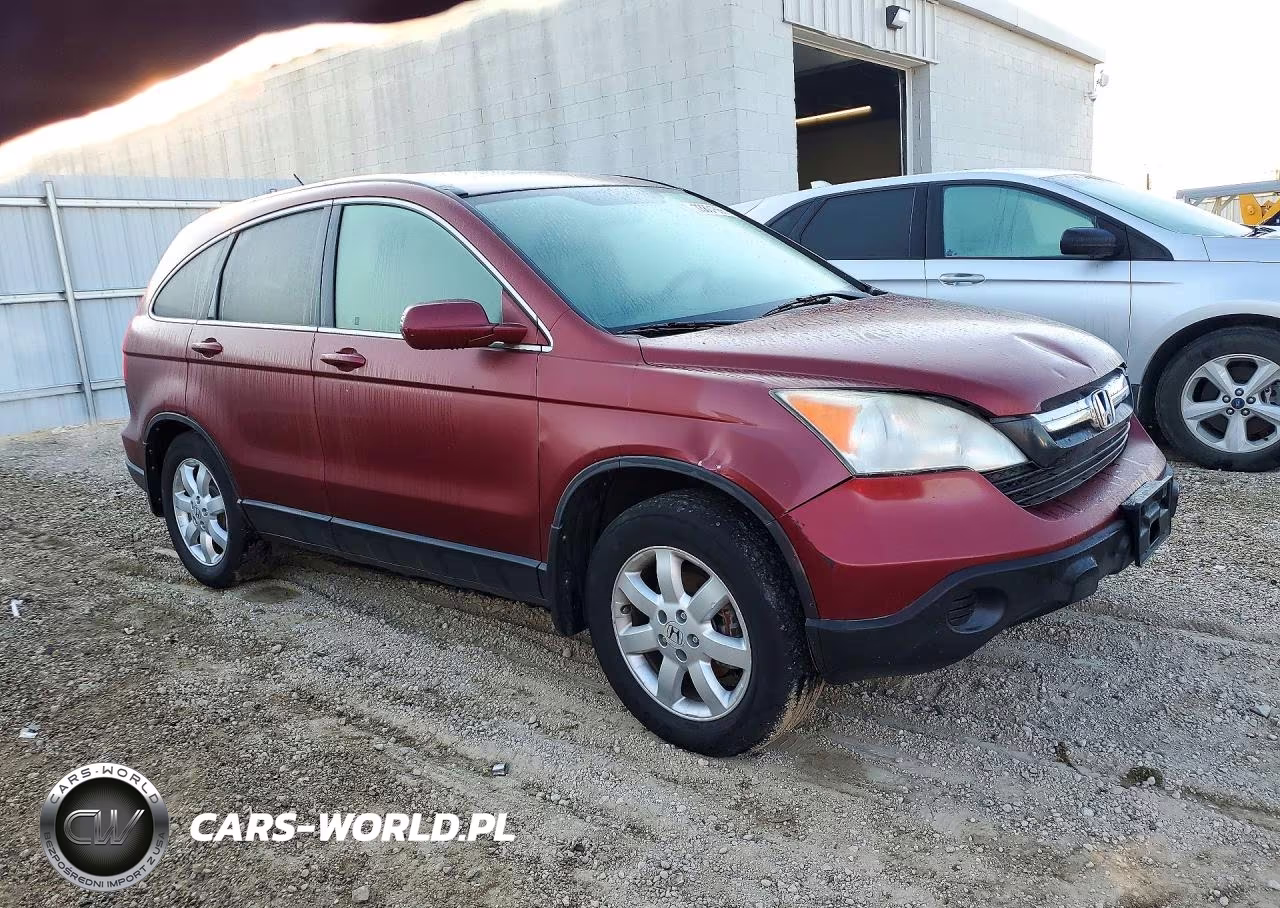2009 Honda Cr-V Exl VIN:JHLRE487X9C015332 - 4