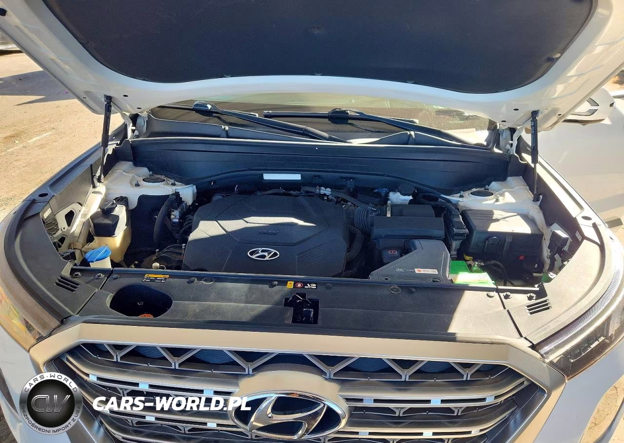 2020 Hyundai Palisade Limited VIN:KM8R5DHE5LU122569 - 12