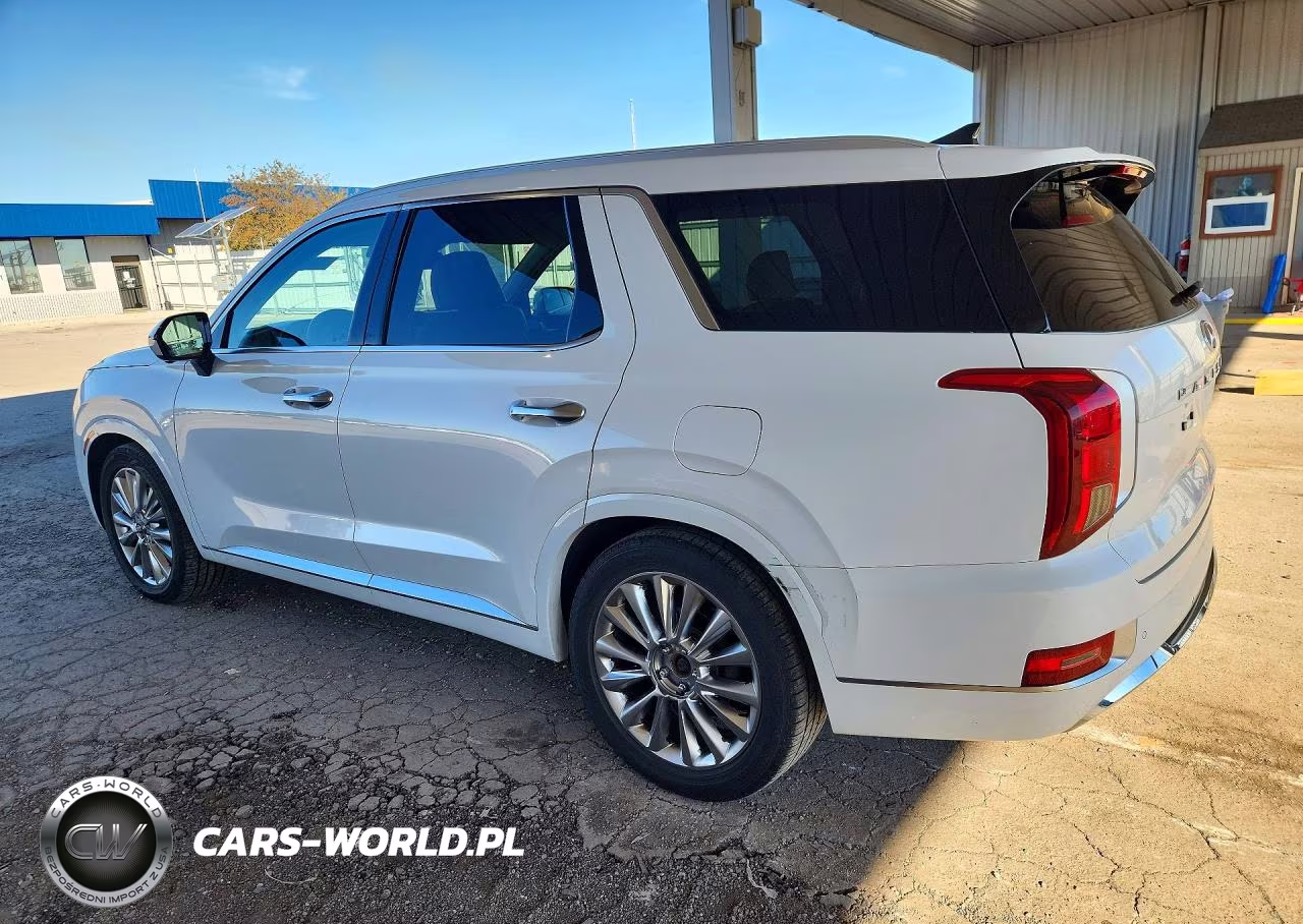 2020 Hyundai Palisade Limited VIN:KM8R5DHE5LU122569 - 2