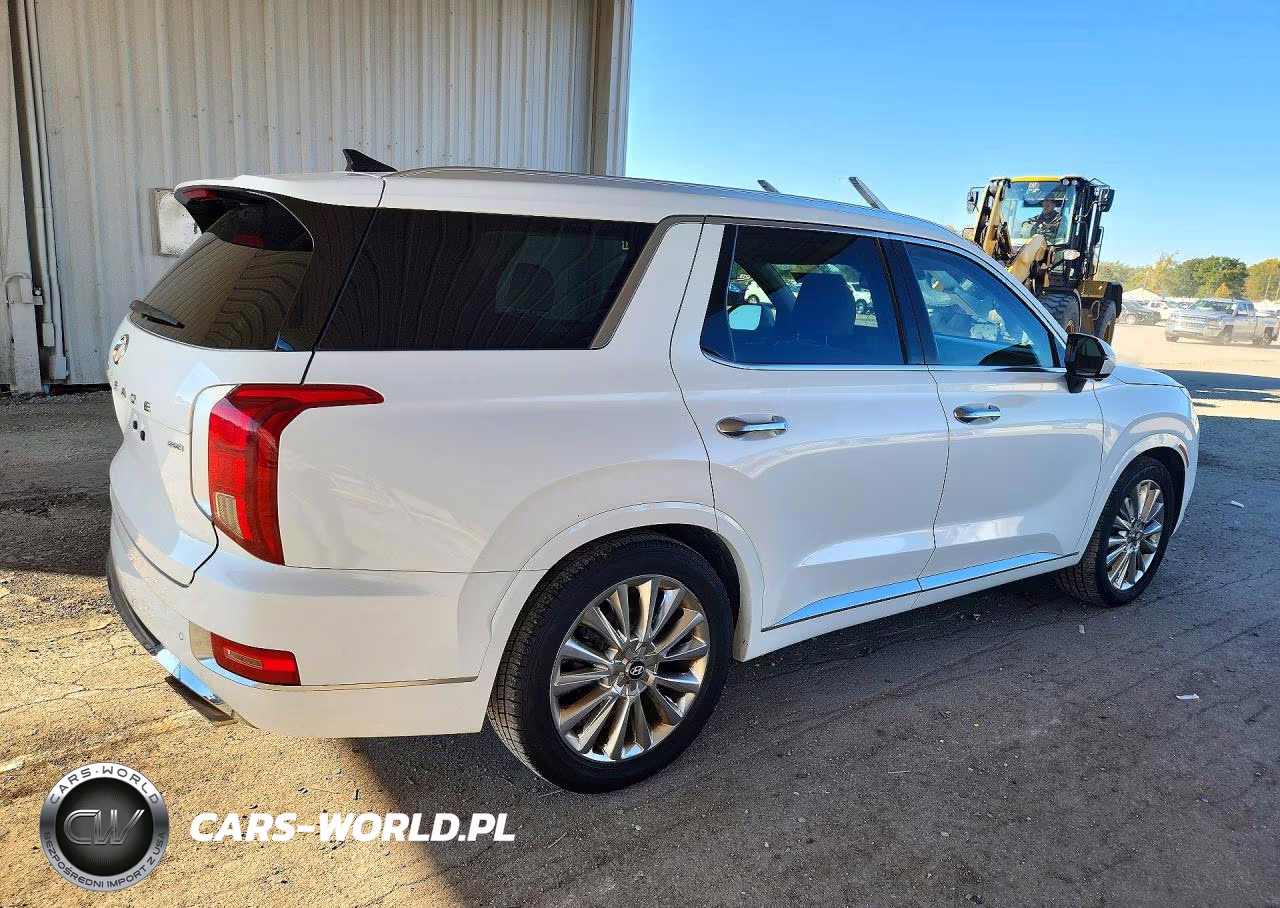 2020 Hyundai Palisade Limited VIN:KM8R5DHE5LU122569 - 3