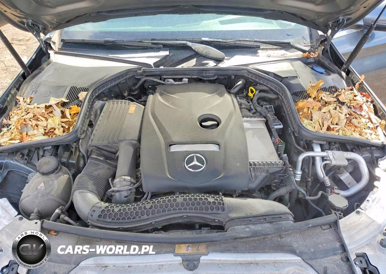 2018 Mercedes-Benz C 300 4Matic VIN:55SWF4KB1JU281046 - 11