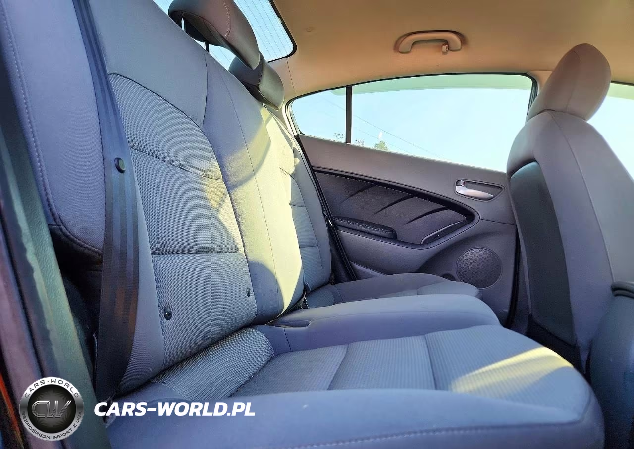 2017 Kia Forte Lx VIN:3KPFK4A7XHE085858 - 10