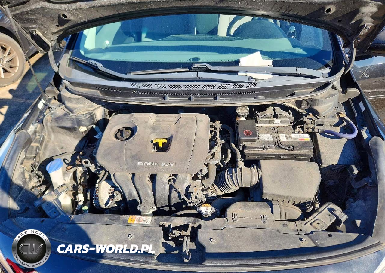 2017 Kia Forte Lx VIN:3KPFK4A7XHE085858 - 11