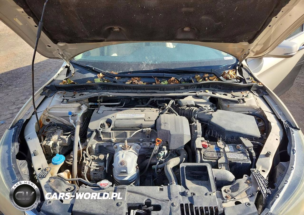 2013 Honda Accord Exl VIN:1HGCR2F87DA246170 - 11