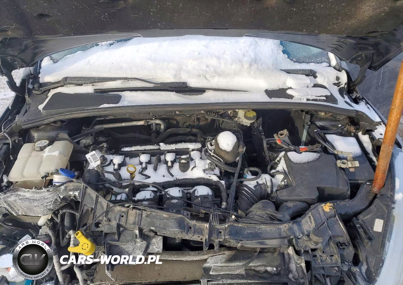 2015 Ford Focus Se VIN:1FADP3F28FL384016 - 11