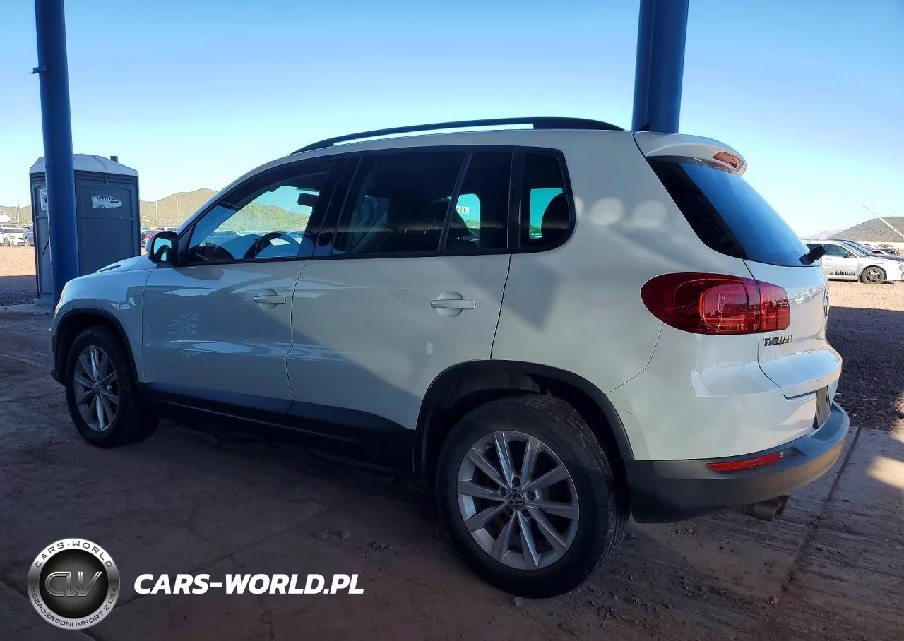 2015 Volkswagen Tiguan S VIN:WVGBV7AX4FW585228 - 2