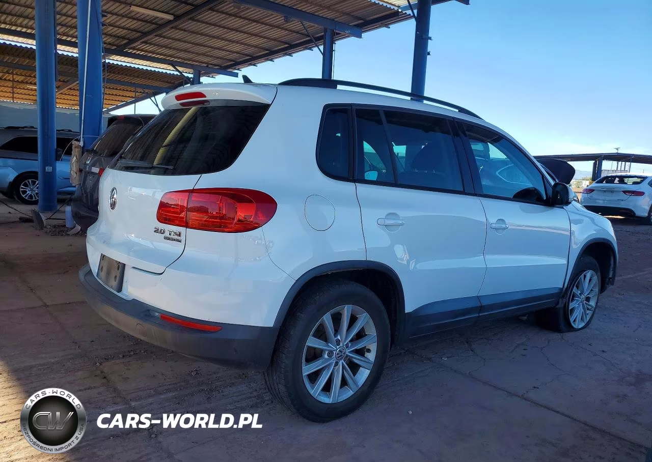 2015 Volkswagen Tiguan S VIN:WVGBV7AX4FW585228 - 3