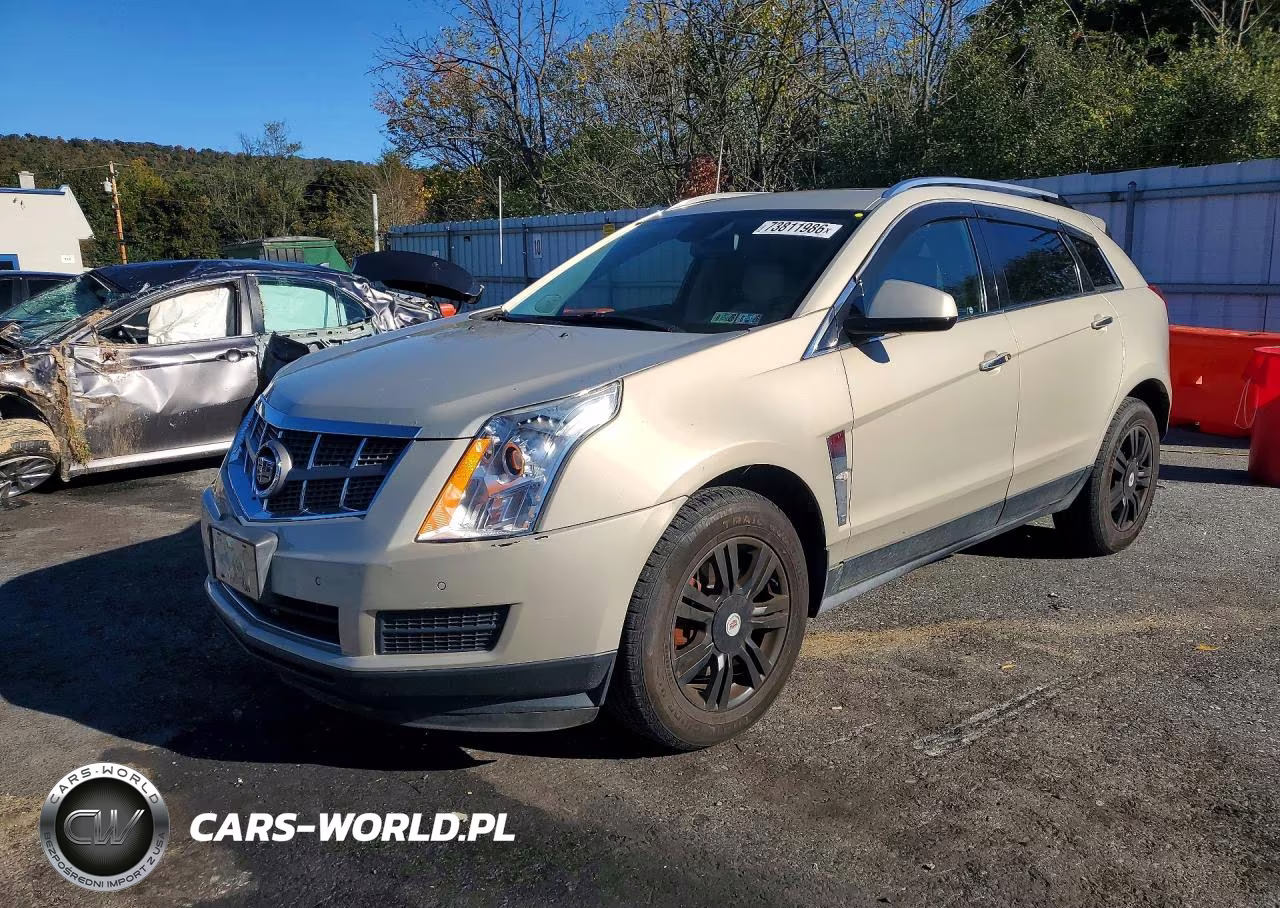 2011 Cadillac Srx Luxury Collection VIN:3GYFNAEY3BS558480 - 1