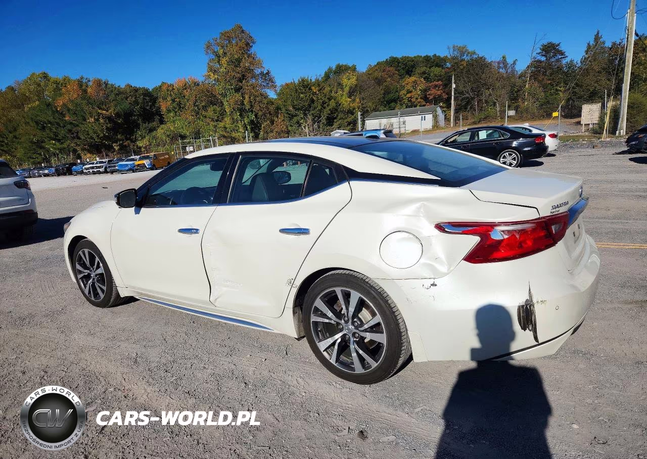 2017 Nissan Maxima Platinum VIN:1N4AA6AP1HC394530 - 2