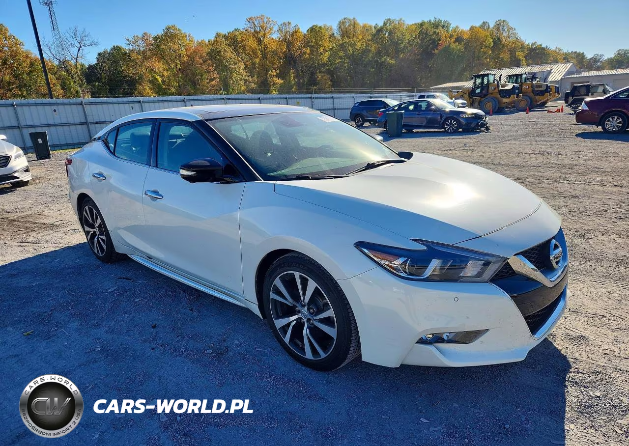 2017 Nissan Maxima Platinum VIN:1N4AA6AP1HC394530 - 4
