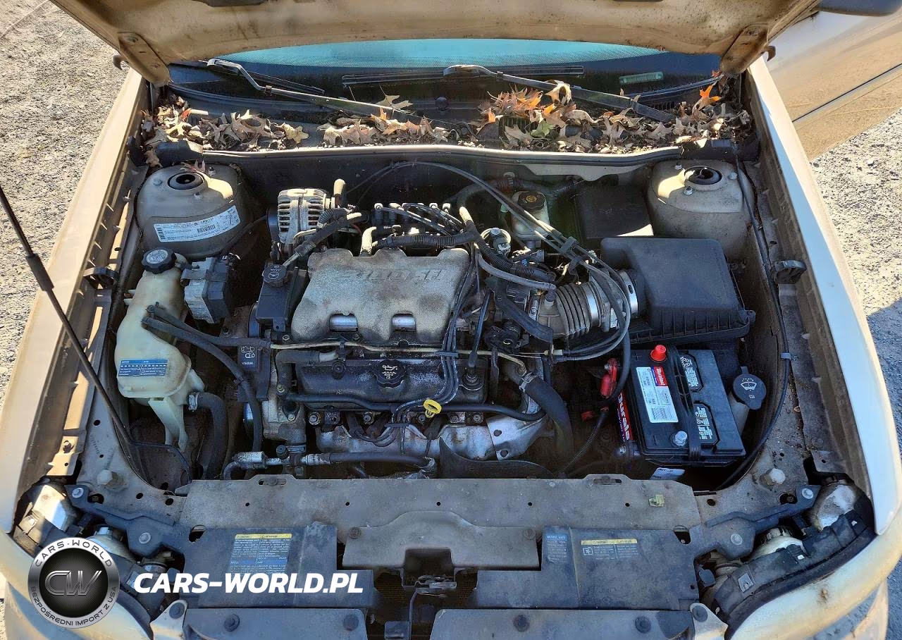 2003 Chevrolet Malibu VIN:1G1ND52J33M738992 - 11